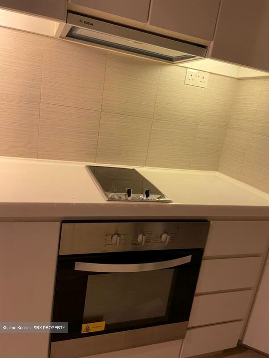 Viz At Holland (D10), Condominium #521647911
